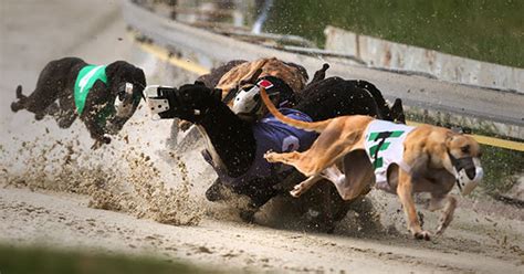 US Greyhound Racing Tracks.